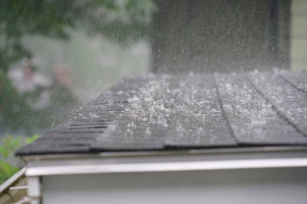 Best Wood Shake Roofing  in Smyrna, DE